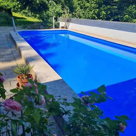 Guest house Haus Am Wald