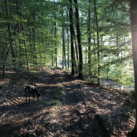 Haus Am Wald Pensionat Eltmann